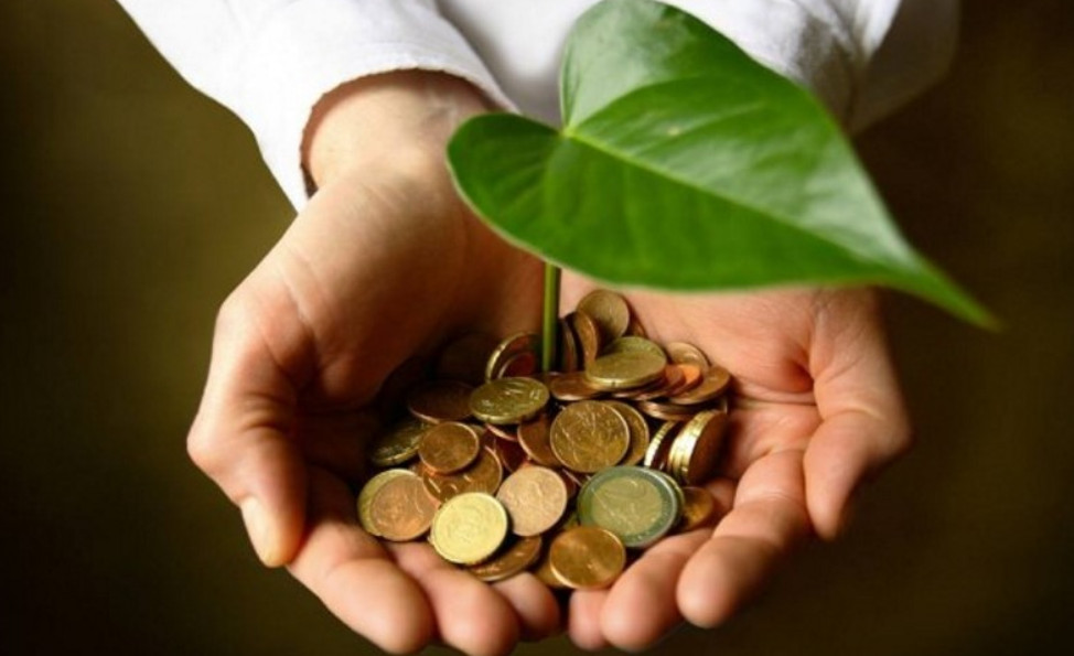 marketnews_oikologiko_epixeirein